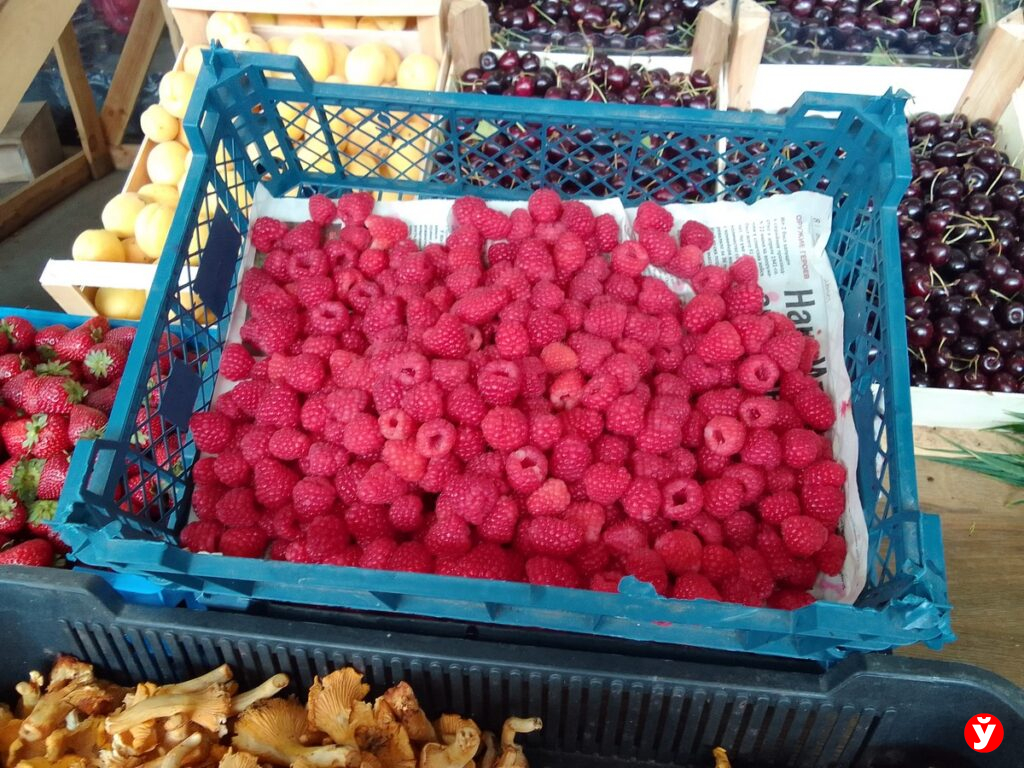 Экспобел