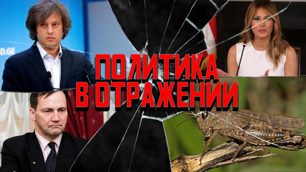 Политика в отражении: Запорожье отойдет саранче, а немцы сольют Туска