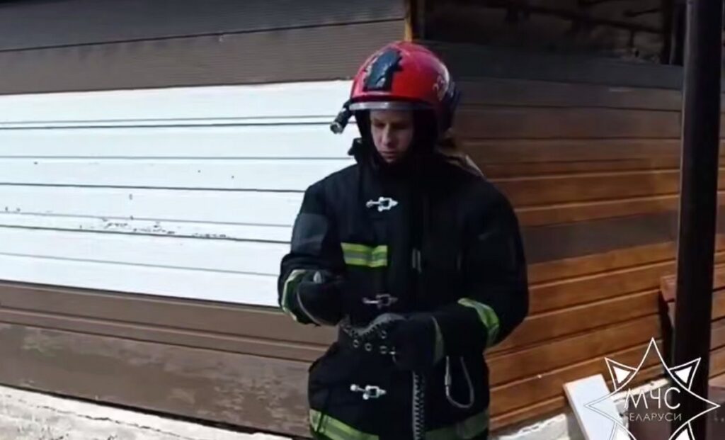 В деревне Гребенка Червенского района женщина вызвала спасателей: у своего дома она обнаружила змею