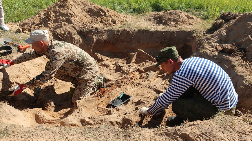 В Могилевской области нашли останки 25 красноармейцев