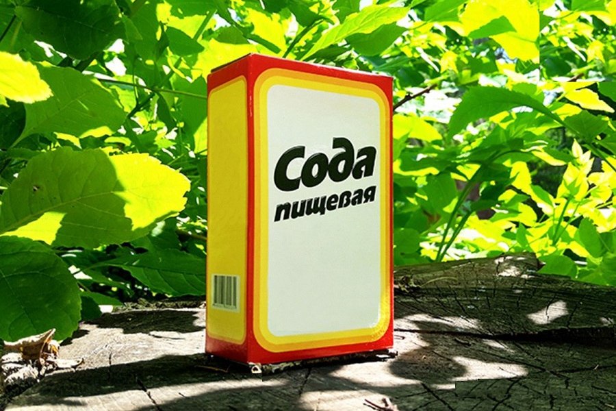5 причин поливать грядки содой уже сегодня