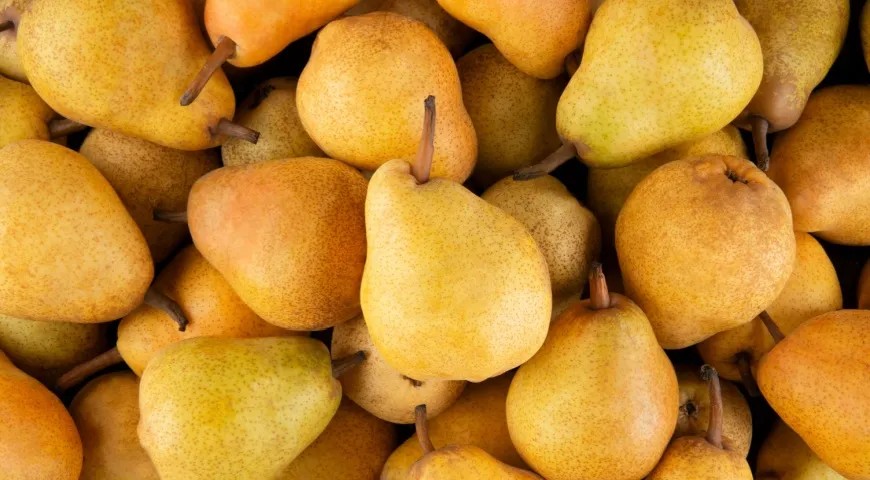 Лето в банке: как сохранить вкус груш на всю зиму