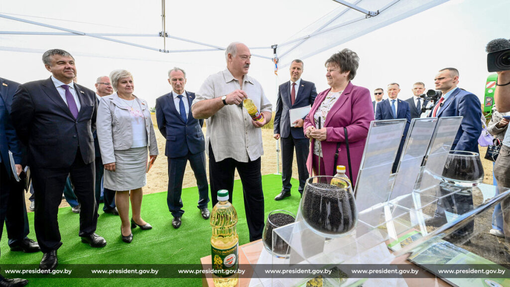 лукашенко в поле