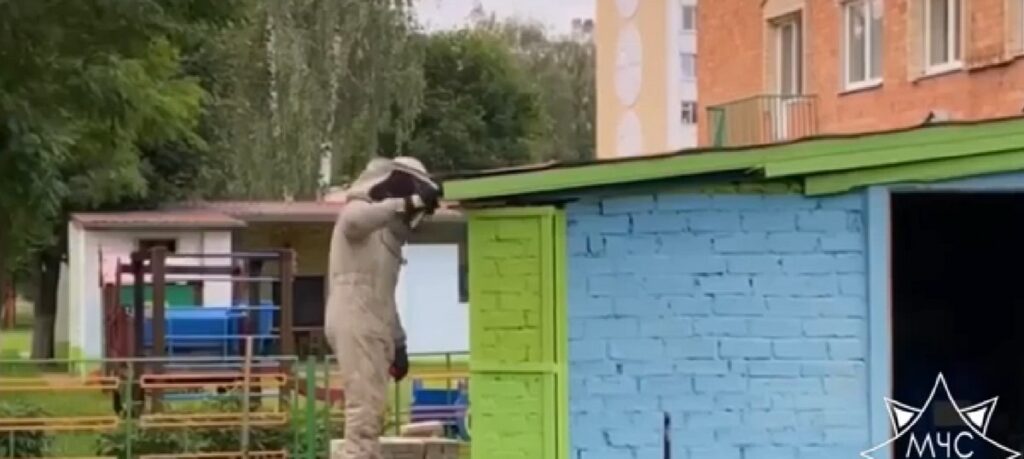 В Солигорске спасатели ликвидировали гнездо ос на территории детского сада