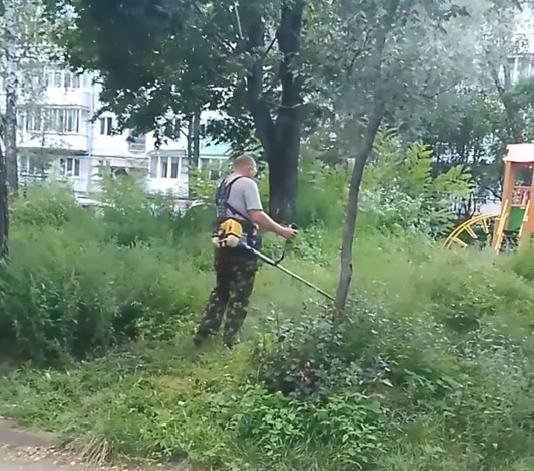 «Бурьянище» и мотокоса с цепью. Хроники покоса травы в видео неравнодушной борисовчанки