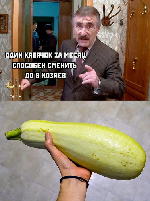 мем 1