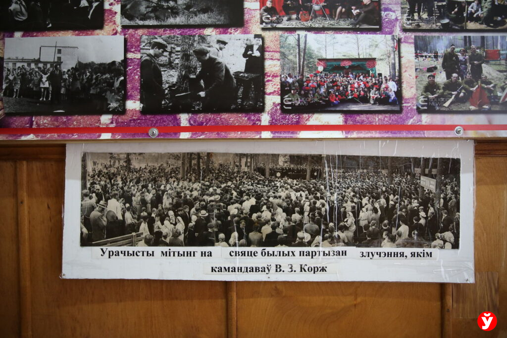 митинги