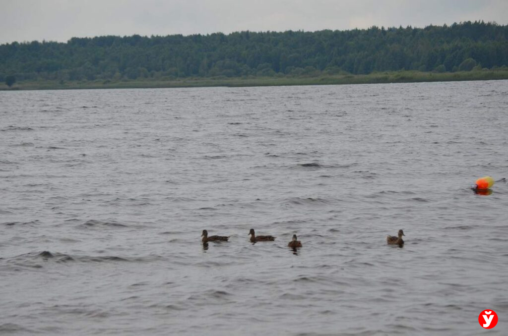 Крупки
