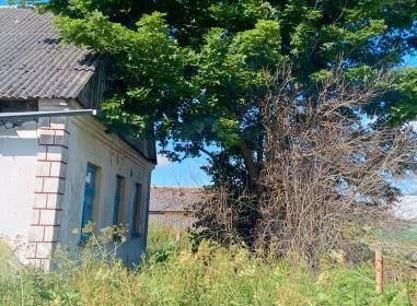 Заброшенные участки и неухоженное кладбище: ситуация в деревне Серяги