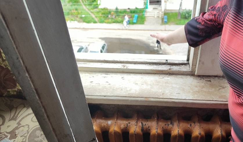В Поставaх женщина выбросила кота с пятого этажа — возбуждено уголовное дело
