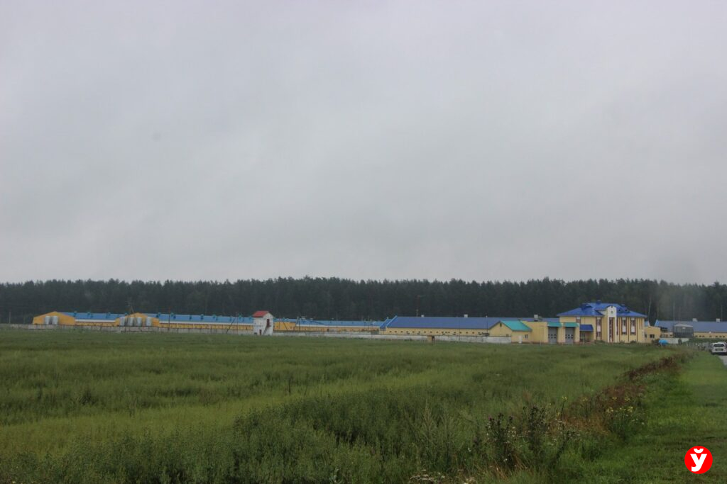 Почему Борисовский комбинат хлебопродуктов сделал ставку на собственное строительство