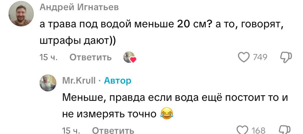 комментарий