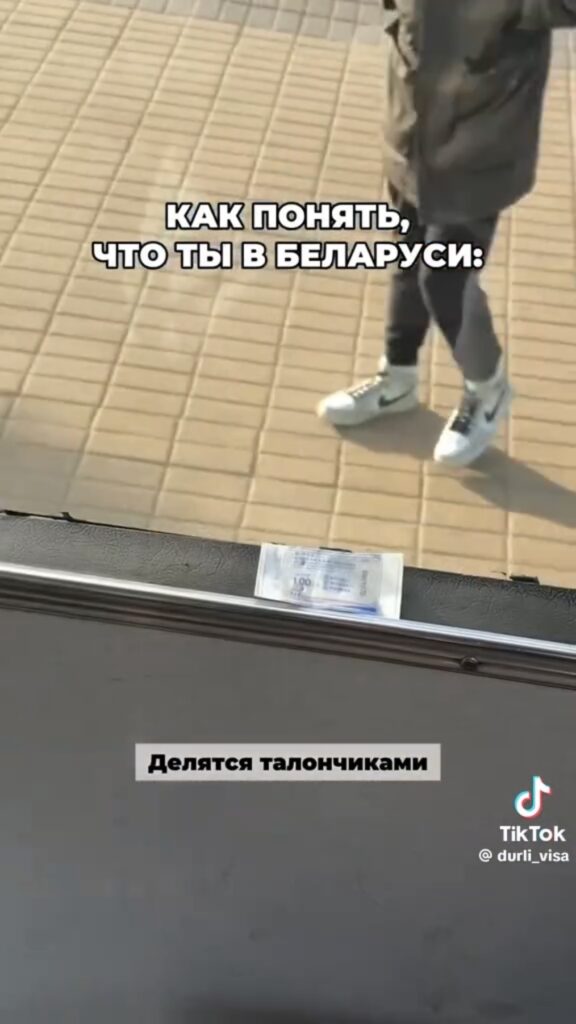 талончик