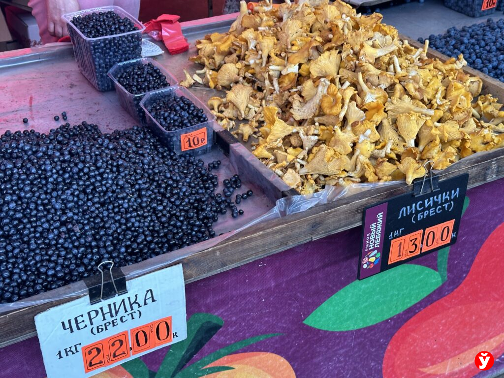черника
