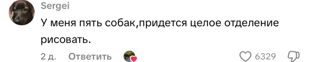 комментарий