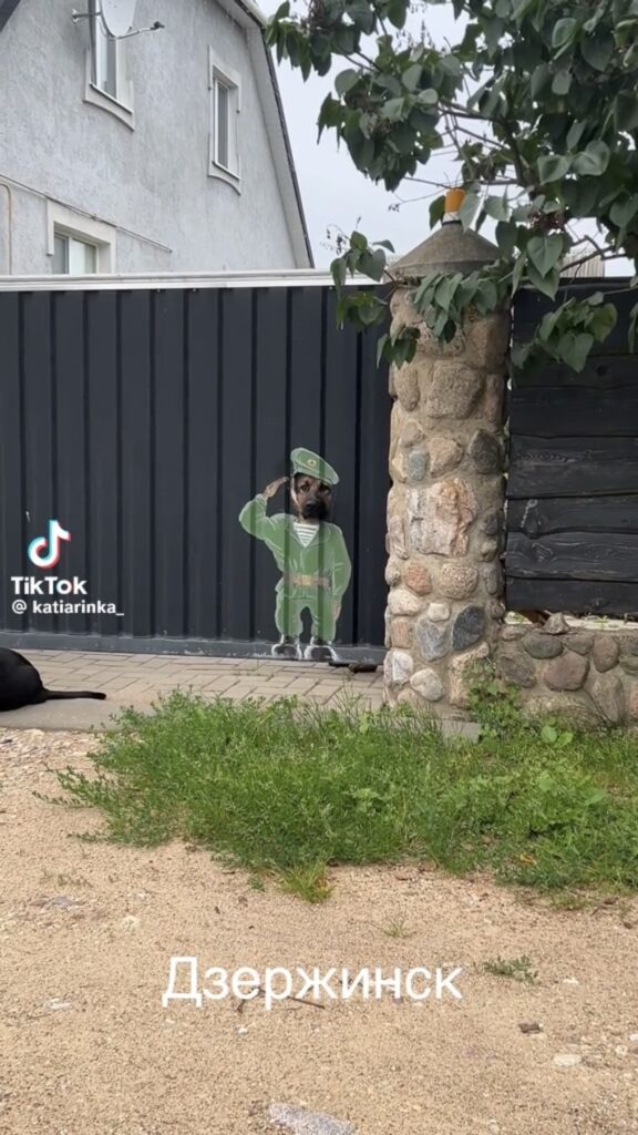 сторожевой пес