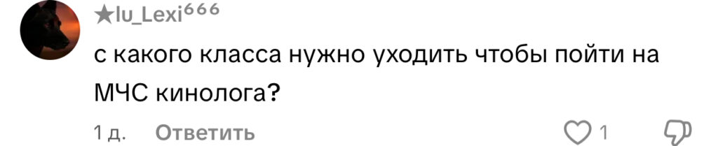 комментарий