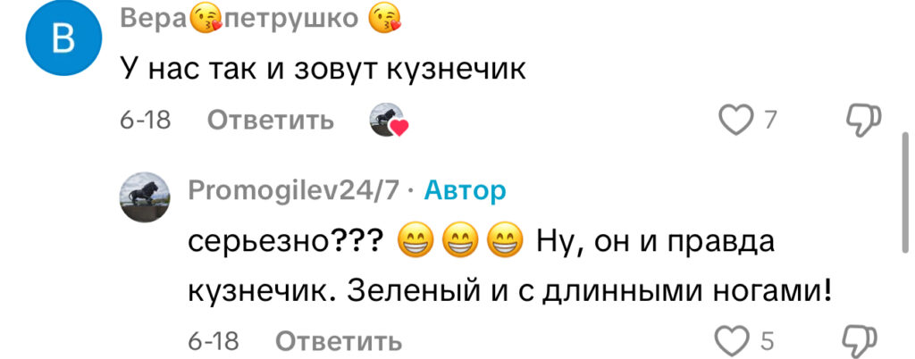 комментарий