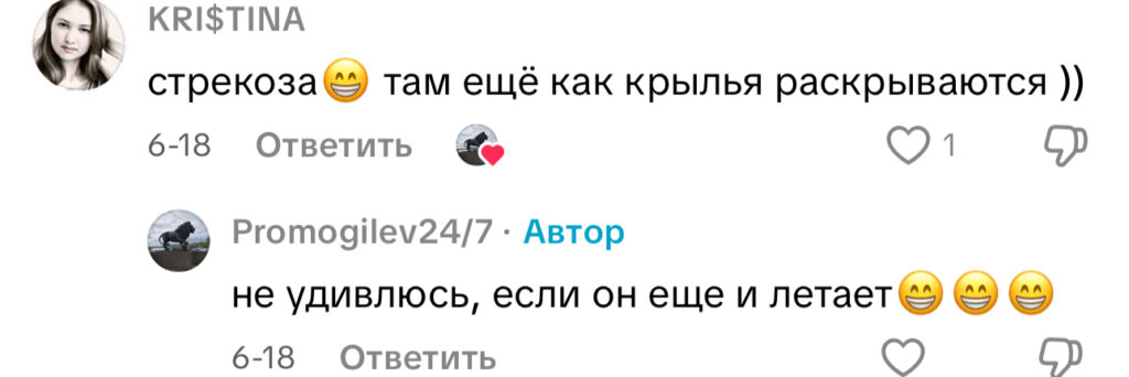 комментарий