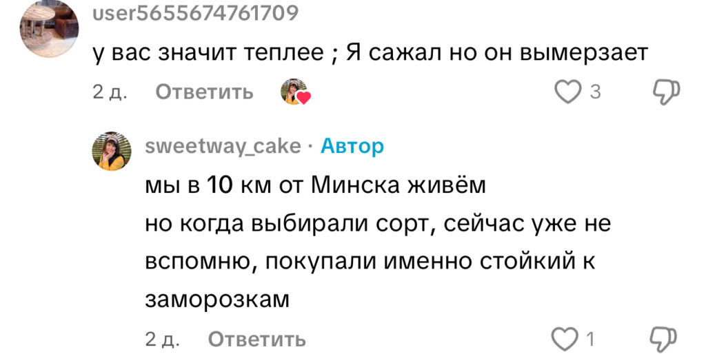 комментарий