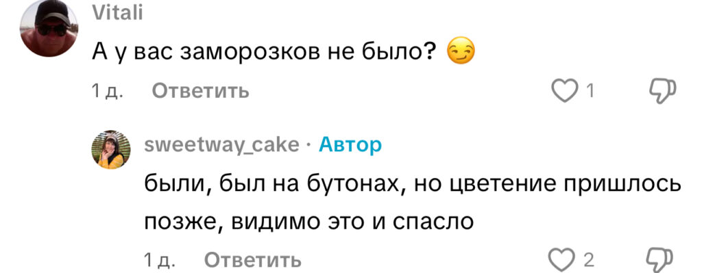 комментарий