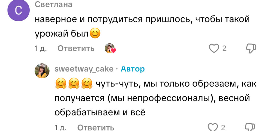 комментарий