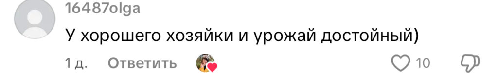 комментарий