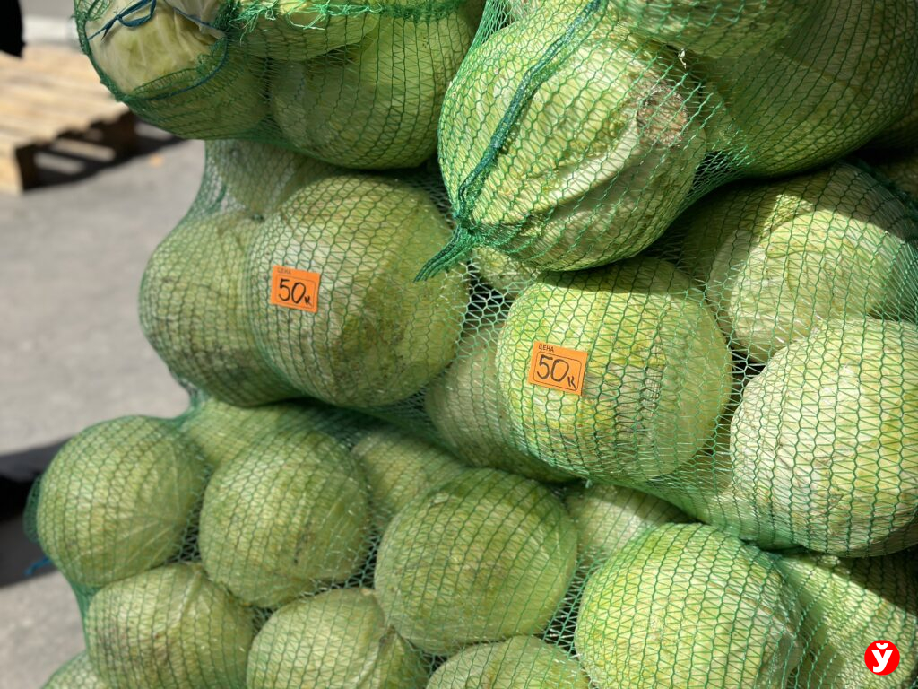 капуста