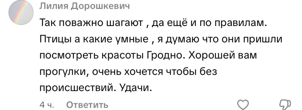 комментарий