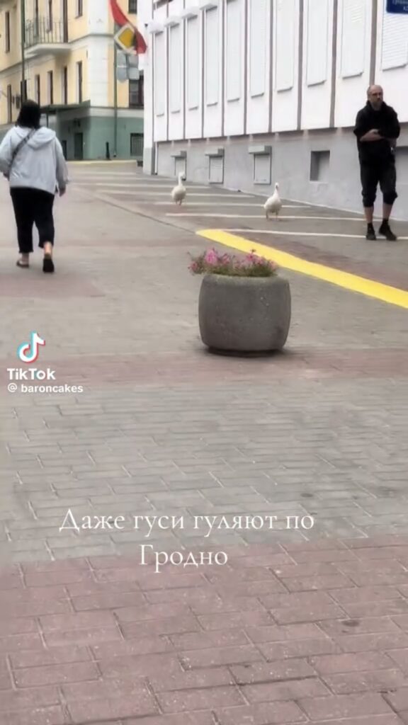 променад
