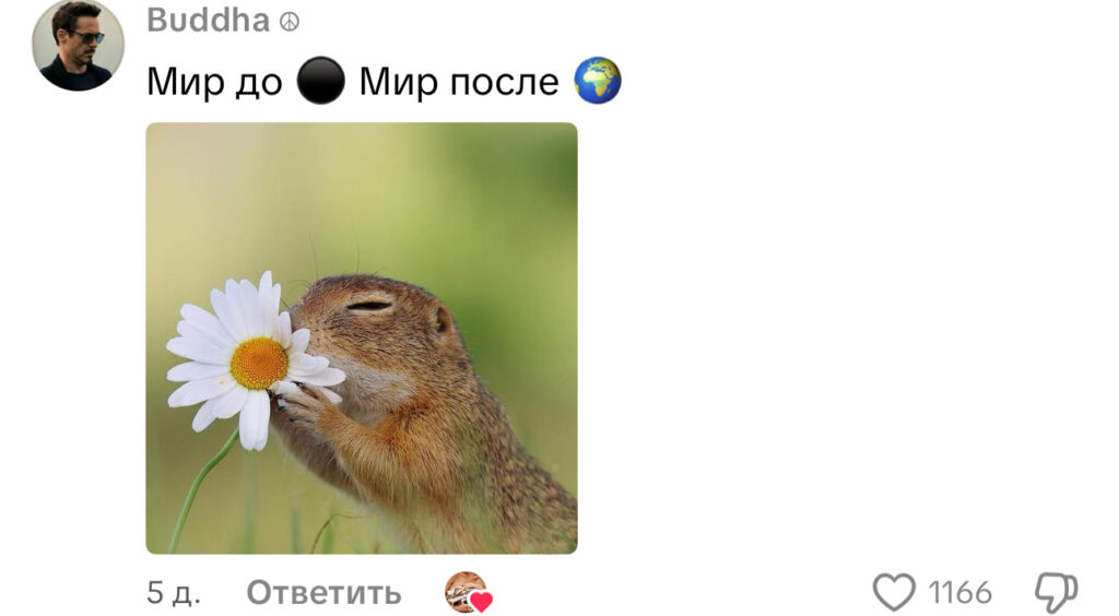комментарий