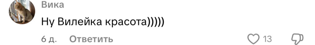 комментарий