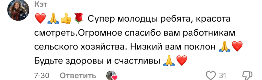 комментарий