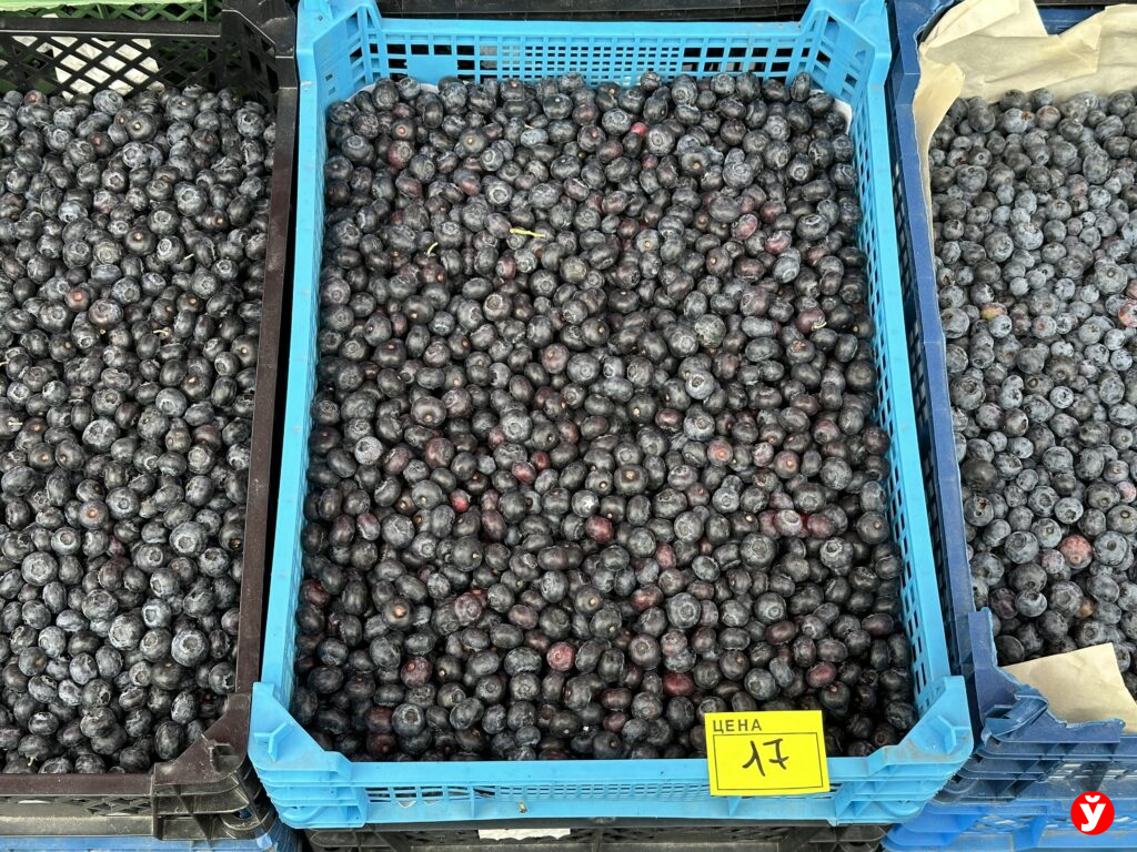 голубика