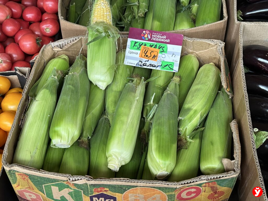 кукуруза
