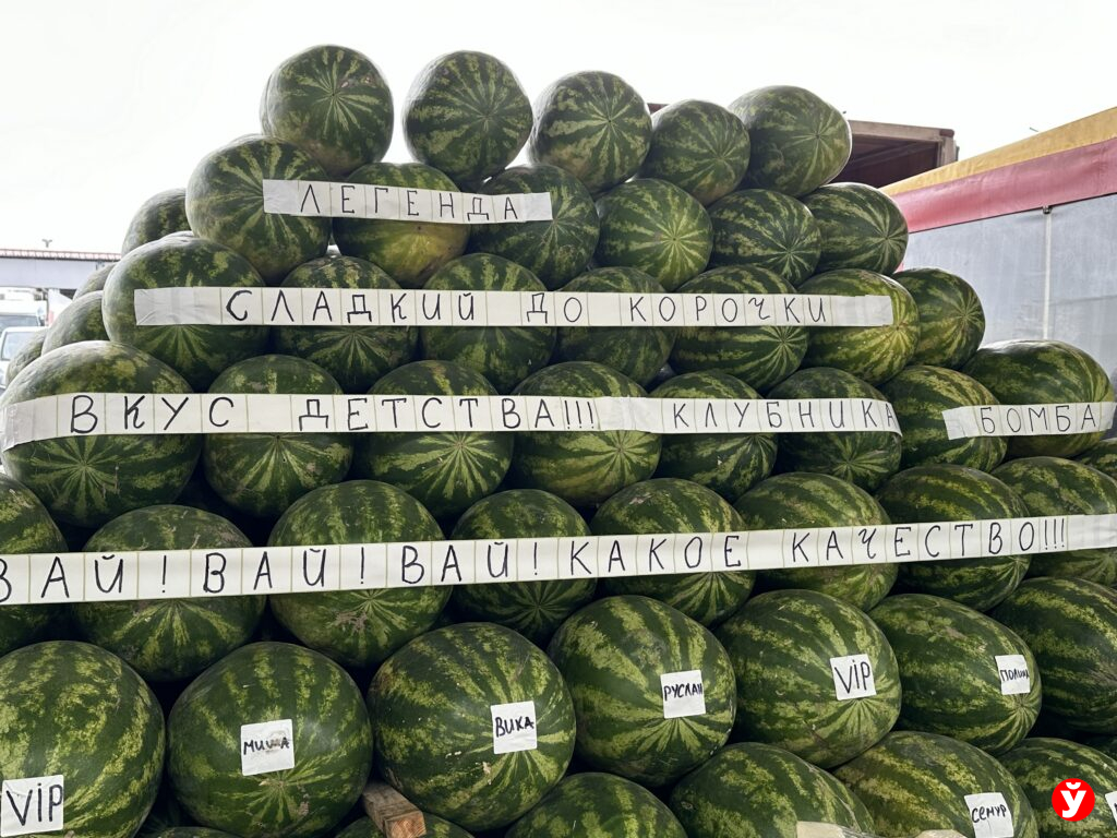 арбуз