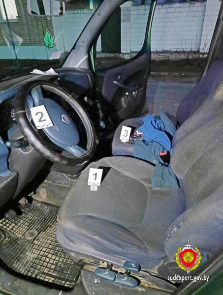 В Ветковском районе угонщика автомобиля нашли по запаху