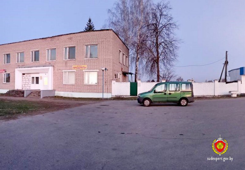 В Ветковском районе угонщика автомобиля нашли по запаху