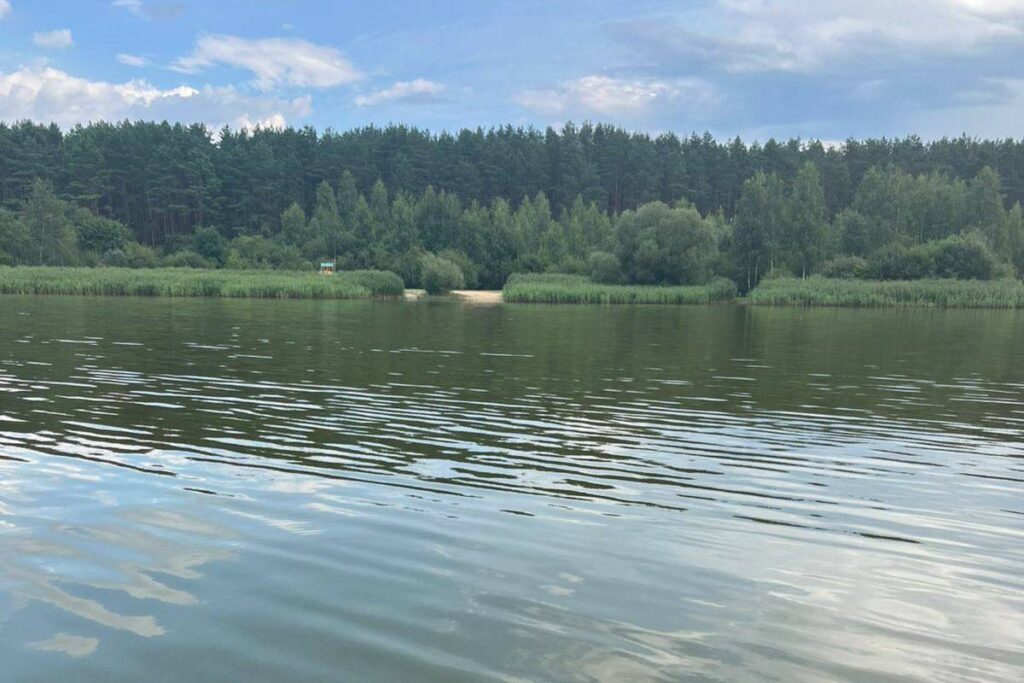 Пьяный купальщик едва не утонул на водохранилище Криница