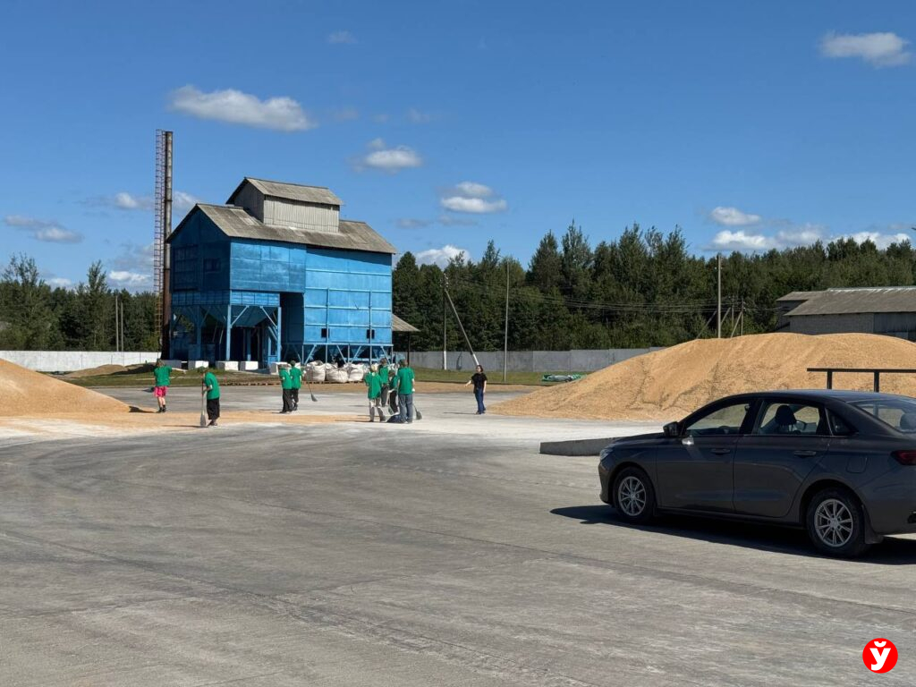 Березино, аграрные классы