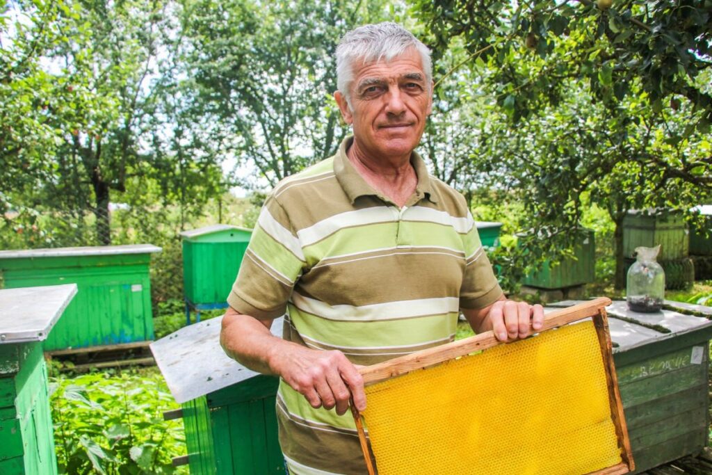 «Пчелы научили меня дисциплине»: история пчеловода, живущего по законам улья