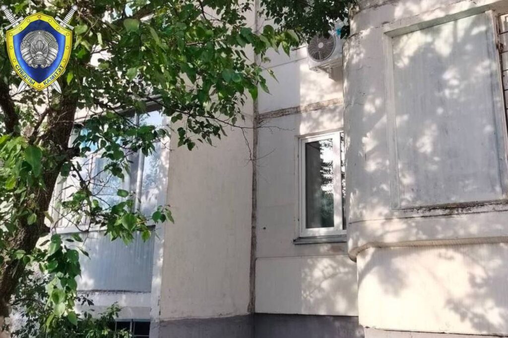 В Гомеле 9-летний мальчик выпал из окна третьего этажа — он в реанимации