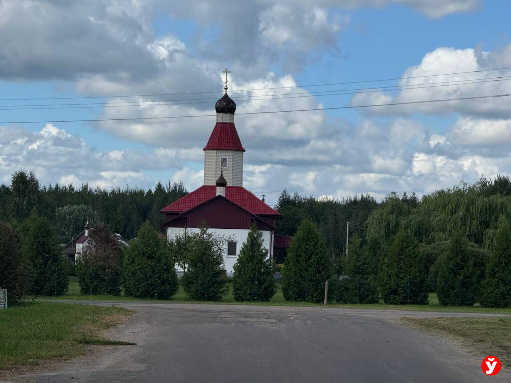 Березино картошка