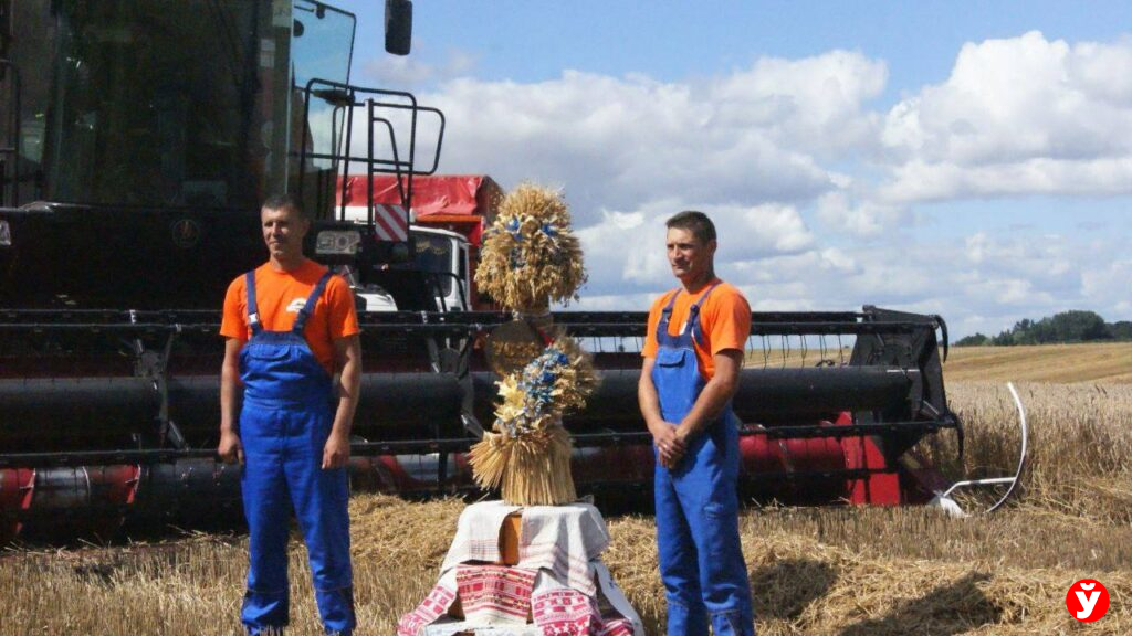 8000 тонн нового урожая намолотили и 7000  перевезли клецкие аграрии на Случчине