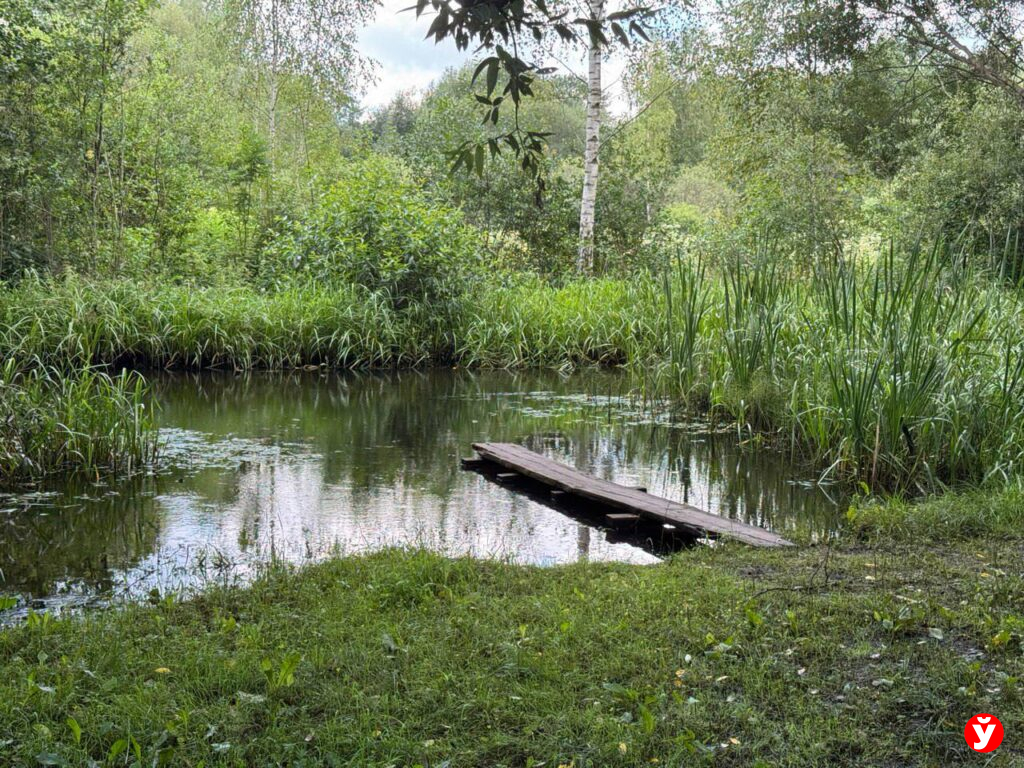 Березино