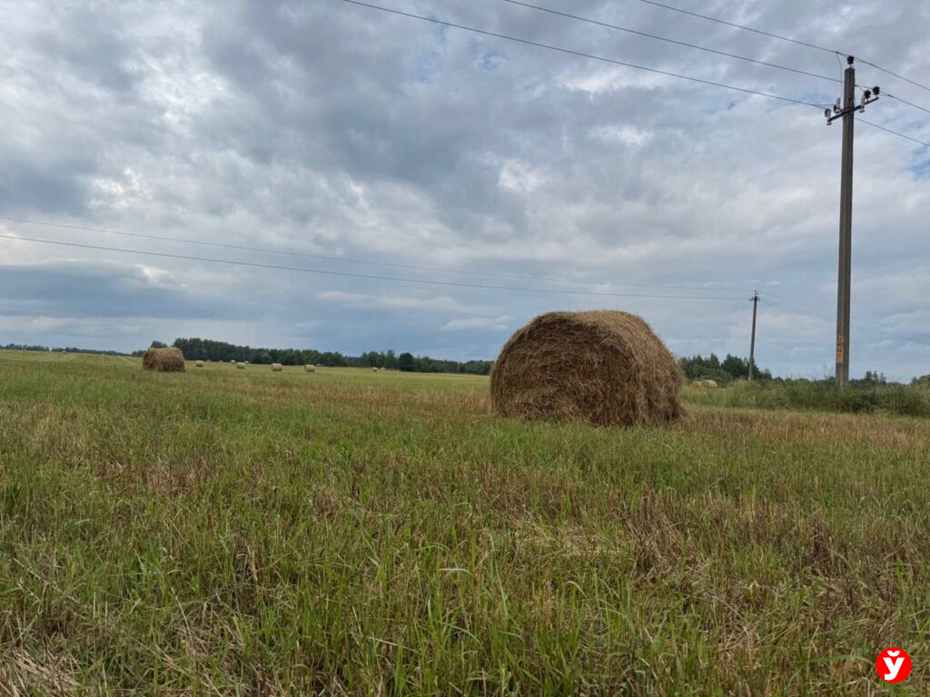 Березино