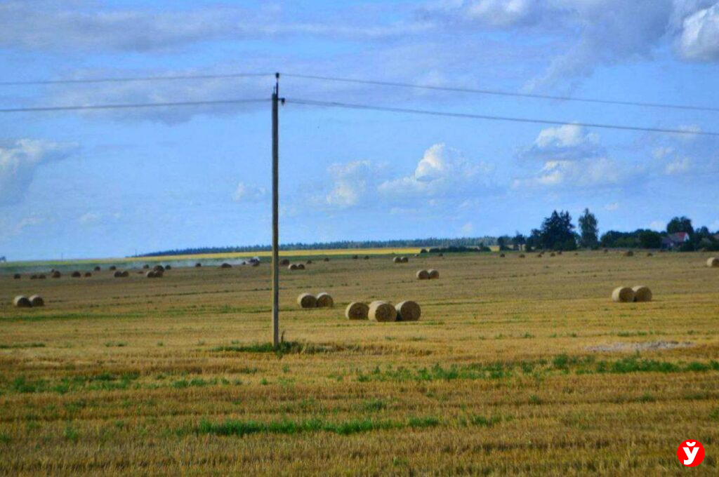Клецк
