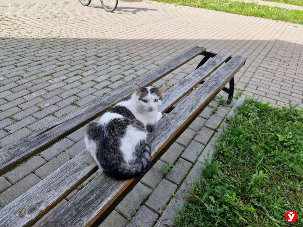 Солигорск
