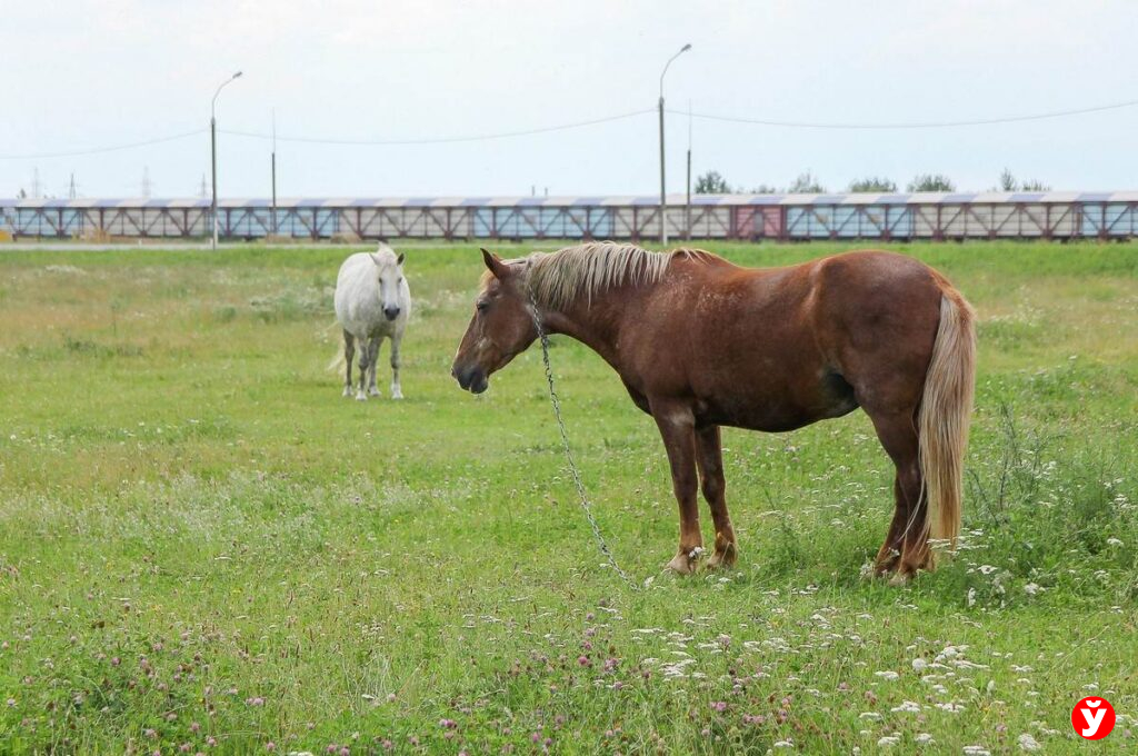 Солигорск