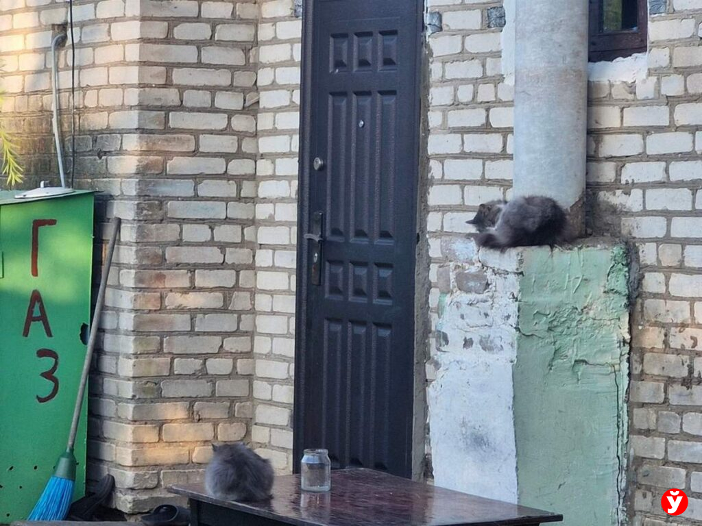 Любань